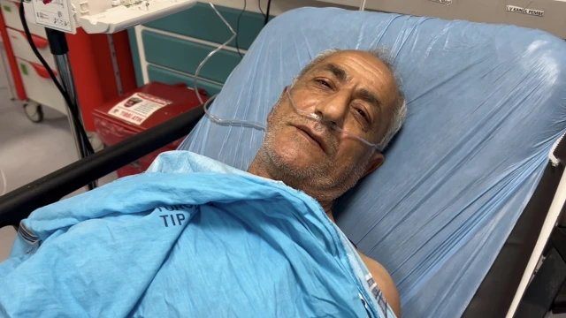 Arıların Saldırısına Uğradı, Ölümden Döndü! — Fotoğraf 1