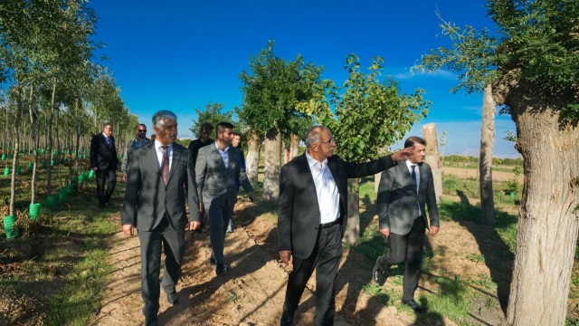 Er, Malatya’yı Yenilerken Yeşil Dokumuzu Koruyoruz — Fotoğraf 1