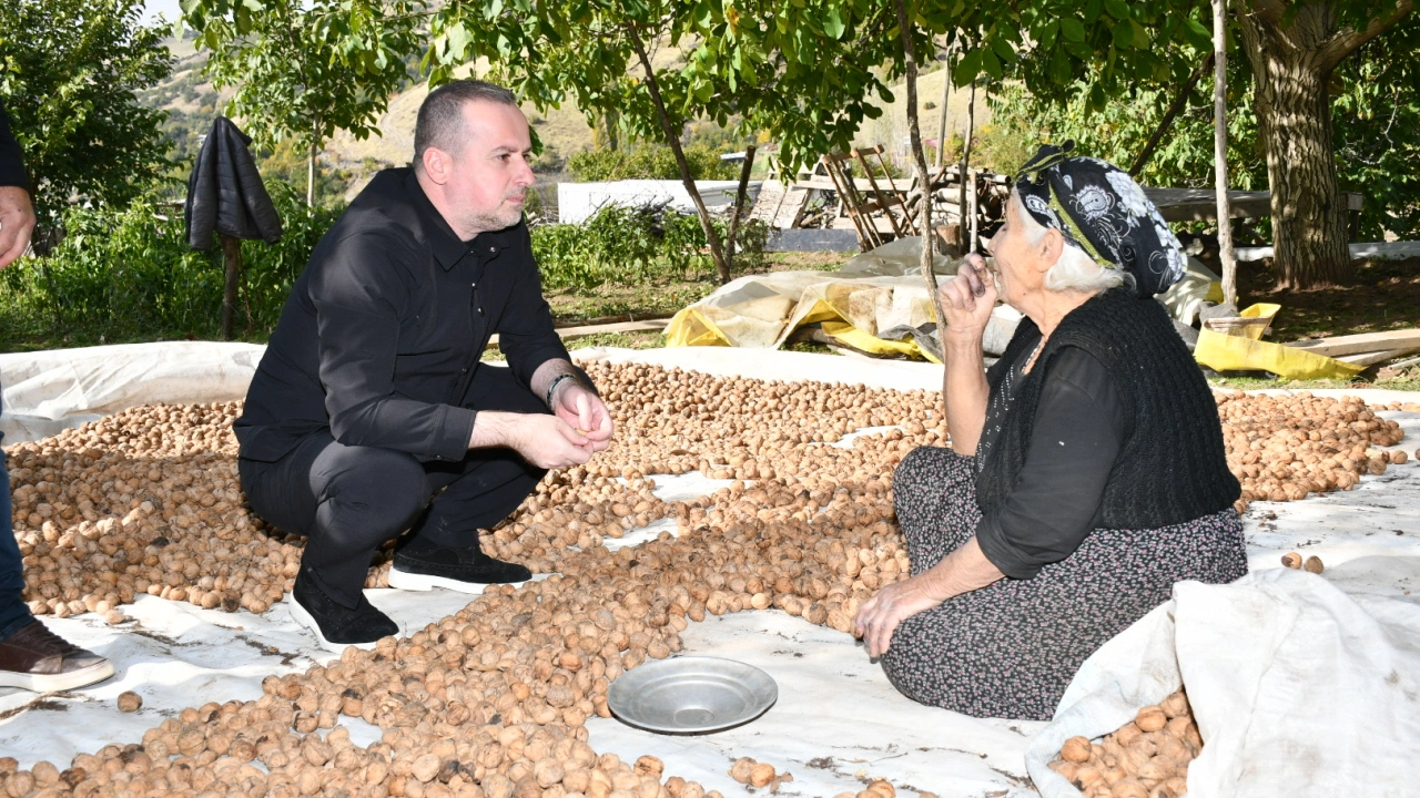 Karademir, Hekimhan Cevizine Sahip Çıkılmalı!