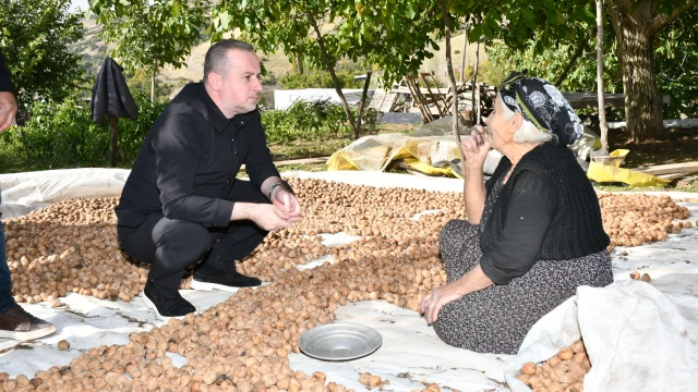Karademir, Hekimhan Cevizine Sahip Çıkılmalı!