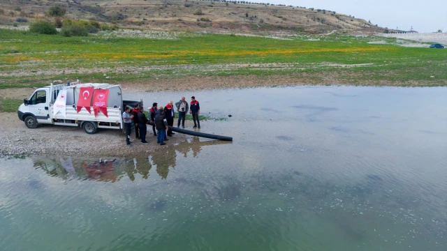 Malatya’da 1 Milyon 300 Bin Sazan Yavrusu Suya Bırakıldı — Fotoğraf 2