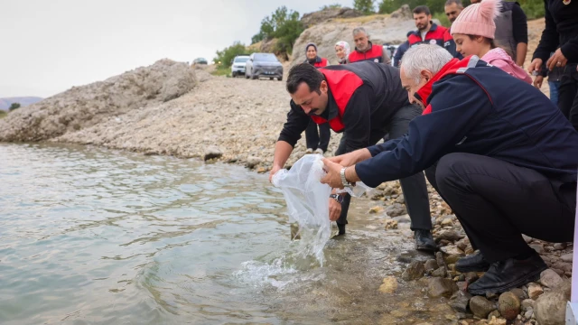 Malatya’da 1 Milyon 300 Bin Sazan Yavrusu Suya Bırakıldı — Fotoğraf 3