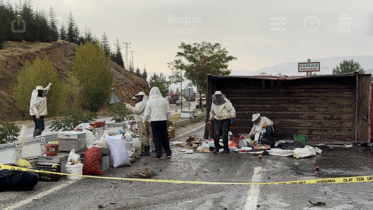 Malatya’da Arı Yüklü Kamyon Devrildi: 3 Yaralı!