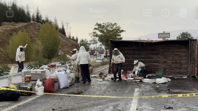 Malatya’da Arı Yüklü Kamyon Devrildi: 3 Yaralı!