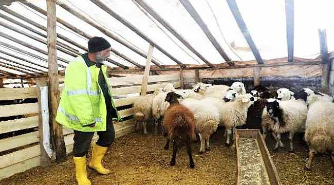 Üreticinin Yol Sorununu Başkan Güder Çözdü