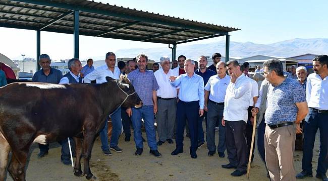 Çınar, Canlı Hayvan Pazarını Ziyaret Etti