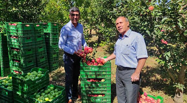 Esenlik'ten Tarladan Sofraya Gelen Lezzetler Kampanyası 