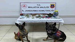 Malatya'da Uyuşturucu Operasyonu 