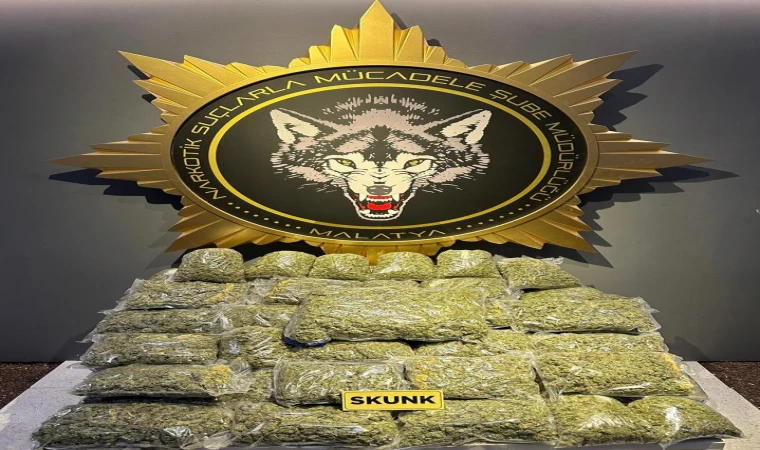 Malatya'da 40 kilo Skunk Ele Geçirildi