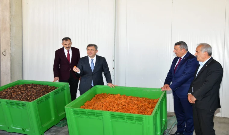 Malatya’da Kayısı Rekoltesi Açıklandı