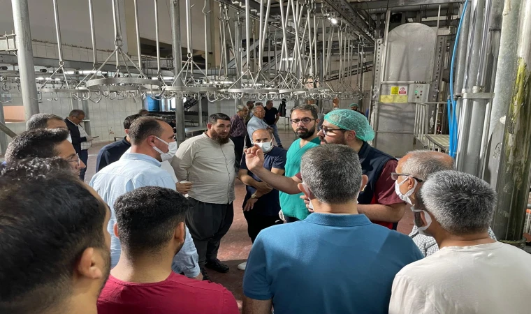 Malatya Büyükşehir’den Kurban Kesim Eğitimi