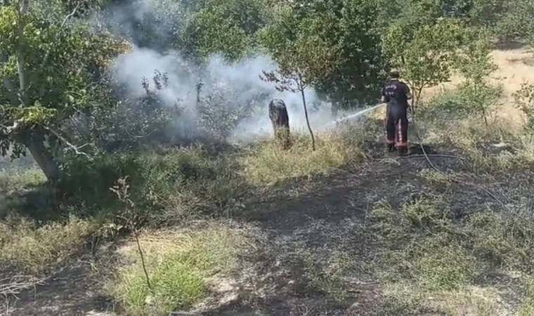 Malatya’da Korkutan Bahçe Yangını