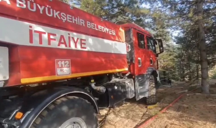 Malatya’da Korkutan Orman Yangınları Kontrol Altında