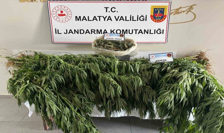 Malatya’da Uyuşturucu Operasyonu 1 Gözaltı