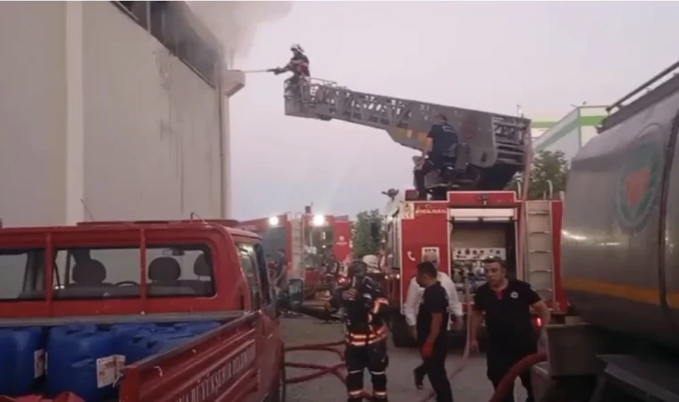 Malatya’da Tütün Fabrikasında Yangın