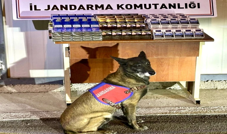 Malatya-Kayseri Yolunda Kaçak Sigara Operasyonu