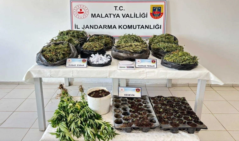 Malatya’da Uyuşturucu Operasyonu, 16 Tutuklama