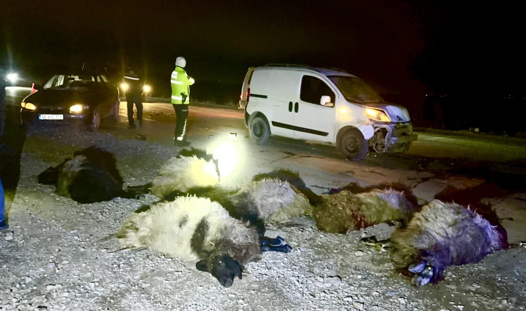 Malatya’da Ticari Araç Koyun Sürüsüne Daldı