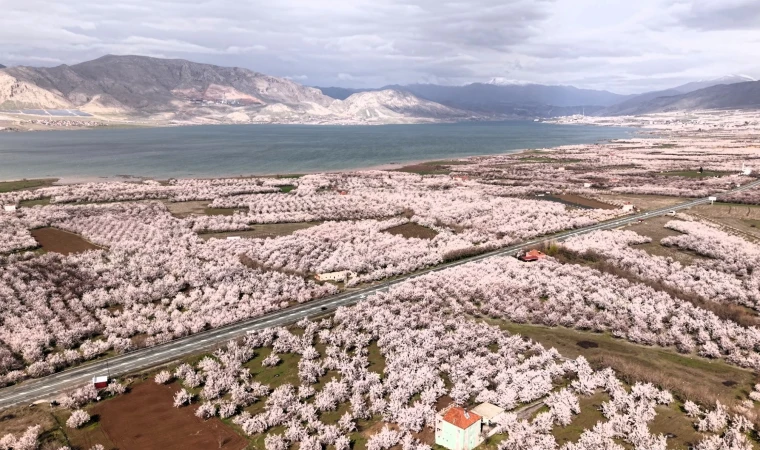 Kayısı Cenneti Malatya Beyaza Büründü
