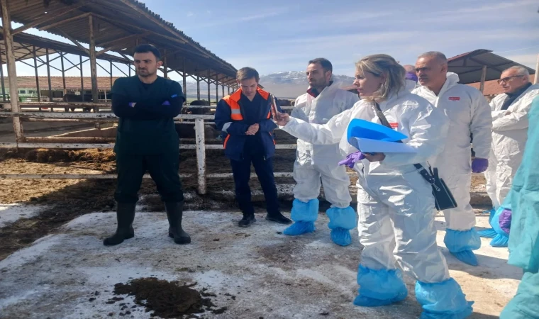 Malatya’da Şap Hastalığı Alarmı!