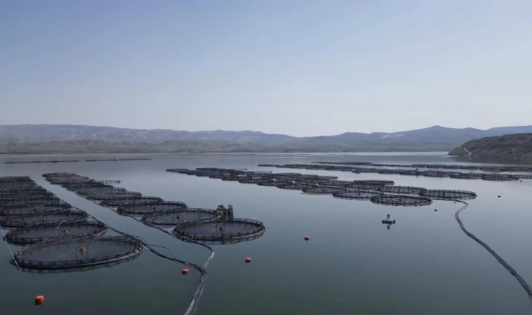 Malatya’da Alabalık Üretimi 7 Bin 500 Tona Ulaştı