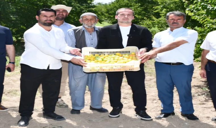 Karademir, Kayısı İçin TMO acilen devreye girmeli"