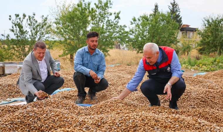 Kayısının Başkentinde Alternatif Ürün Hamlesi