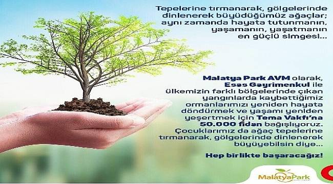 Malatya Girişim Gurubundan 50 Bin Fidan Desteği