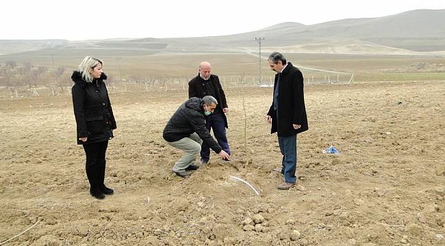 Malatya'da 5 Milyon Dolarlık Kuru Dut İhracatı 