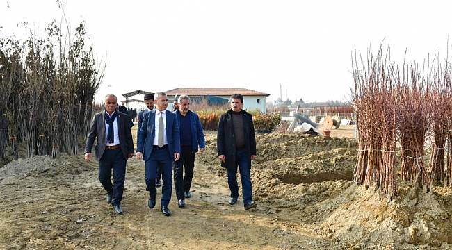 Başkan Çınar, Fidancıları Ziyaret Etti
