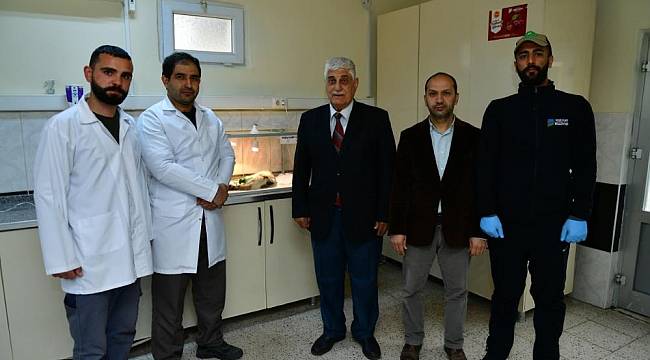 Ekipler, Demir Kapıya Sıkışan Kediyi Kurtardı