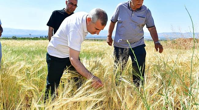 Yeşilyurt’ta Tarımsal Üretim Hız Kazandı