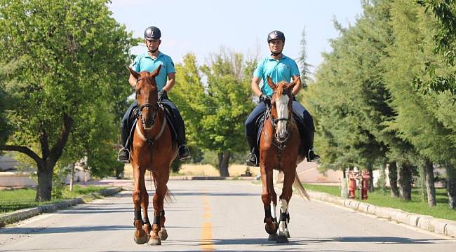 Atlı Jandarma Timi Malatya’da Görevde