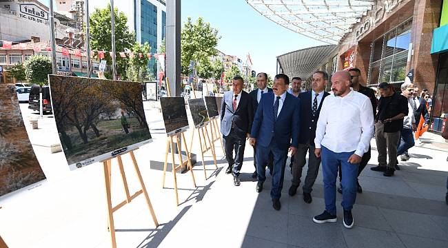 Kayısı Festivali Etkinlikleri Coşkuyla Sürüyor