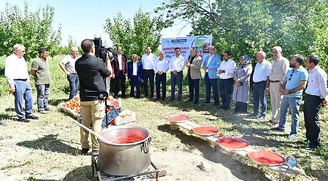 Yeşilyurt’ta Domates Hasatı Etkinliği
