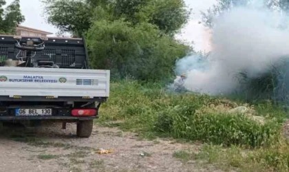 Malatya’da Haşere İle Mücadele Çalışmaları Sürüyor