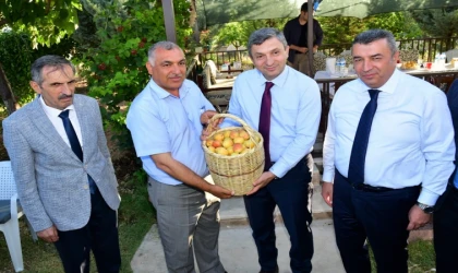 Malatya’da Kayısı Hasadı Başladı