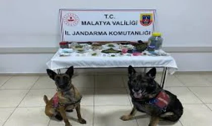 Malatya'da Jandarma'dan Uyuşturucu Operasyonu