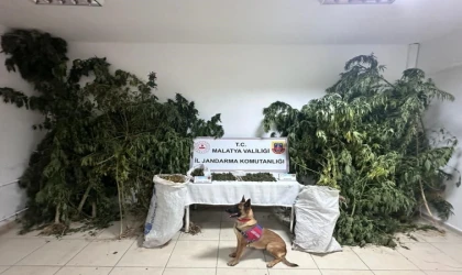 Malatya'da Zehir Tacirlerine Darbe 2 Gözaltı