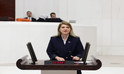 Ölmeztoprak,İlk Etapta Bin 26 Köy Evinin Teslimi Yapılacak