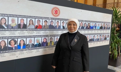 “Kavak Ağacı ile Kabak “ hikayesini bilir misiniz?