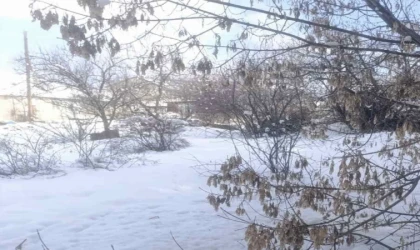 Malatya’da Kar Yağışı Yüksek Bölgelerde Etkili Oluyor.