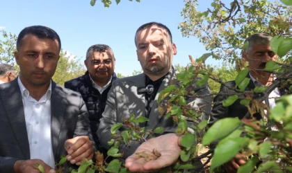 Karademir, Kayısı’sız Bir Malatya’da Hayat Durur