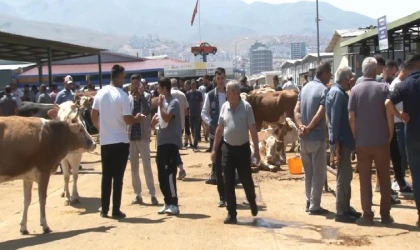 Malatya Canlı Hayvan Pazarı’nda Bayram Yoğunluğu Sürüyor