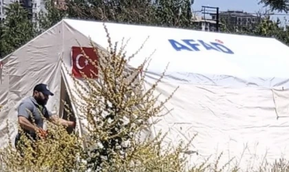 Malatya’da Genç Kadın Yatağında Ölü Bulundu