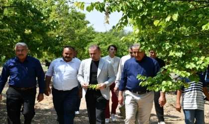 Başkan Karademir, Çiftçimiz çaresiz durumda!