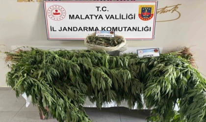 Malatya’da Uyuşturucu Operasyonu 1 Gözaltı