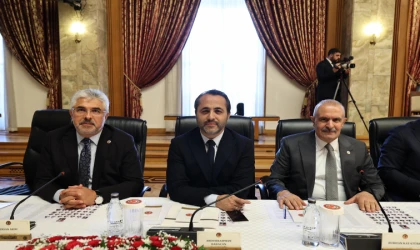 Babacan: "Milli Dayanışma Komisyonu Şeffaflık İlkesiyle Çalışacak"