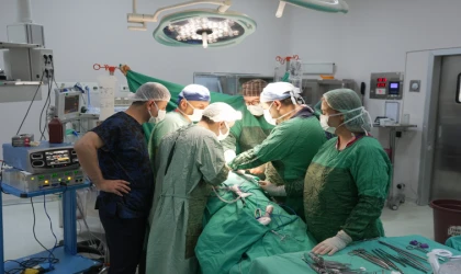Malatya’da Bir Hastadan 3 cm’lik Böbrek Tümörü Alındı
