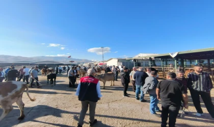 Malatya’da Hayvan Pazarı Yeniden Açıldı